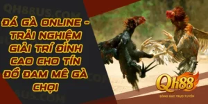 Đá Gà Online
